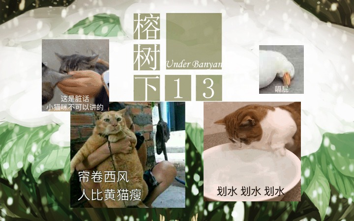 周五榕树下·猫猫表情包第二期