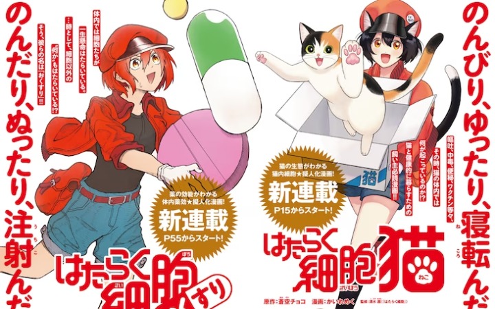 衍生漫画《工作细胞 猫》《工作细胞 药》开始连载